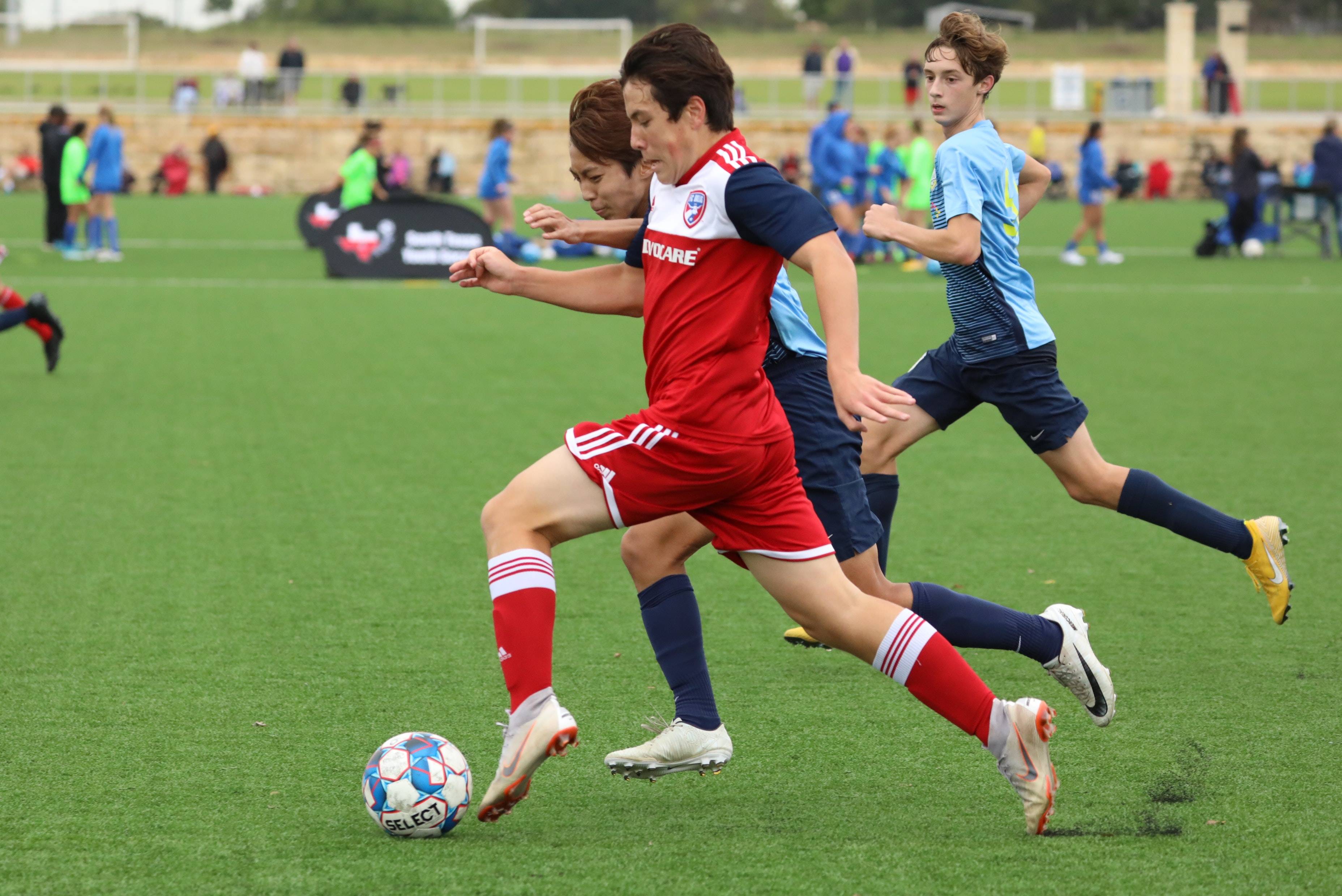 肆意挥洒才 肆意挥洒才